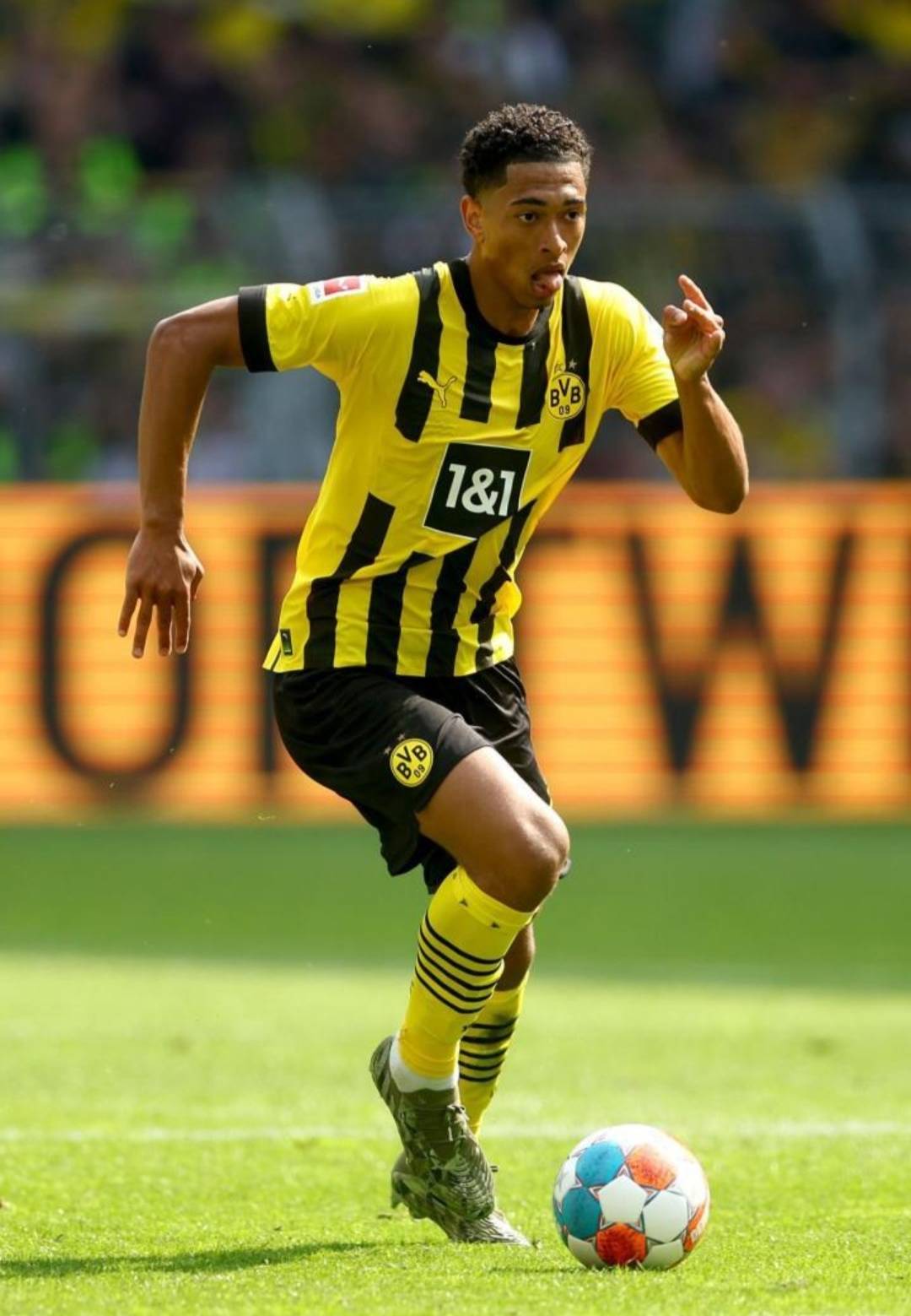 Wynn Sports2025年VIP用户增长60%